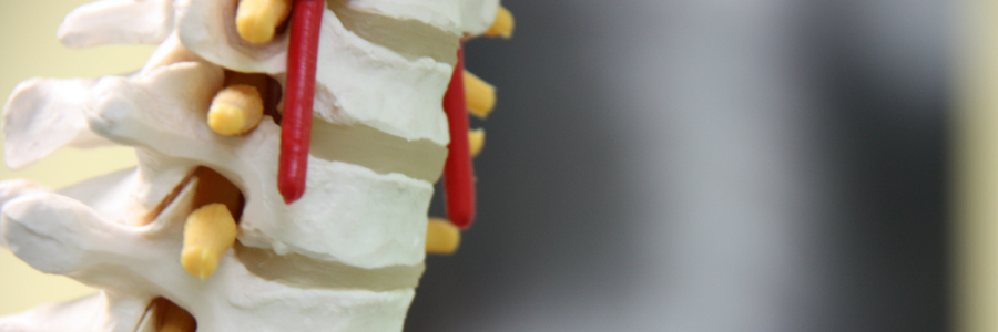 Dee Why Chiropractor Treatments